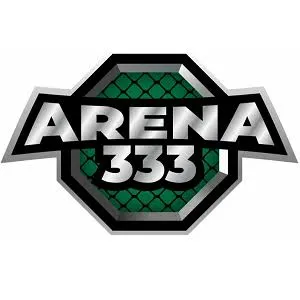 ARENA333 - Game Balap Seru untuk Pecinta Racing